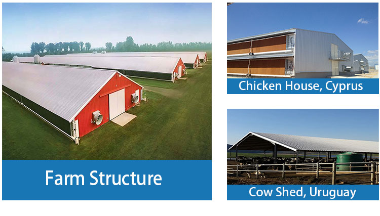 Steel Structure Building Type 2