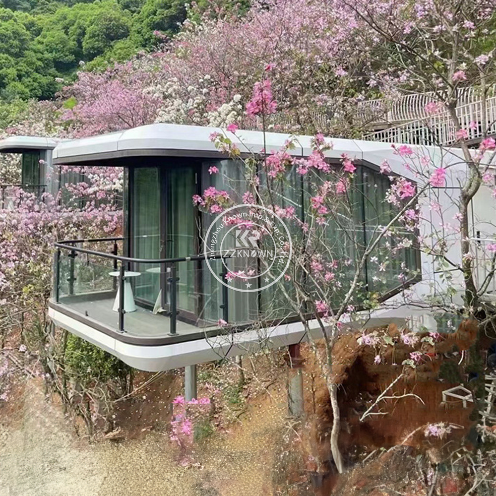 Intelligent Smart Home System Luxury Mobile Home Space Capsule Steel Prefabricated Container House for Hotel Resort
