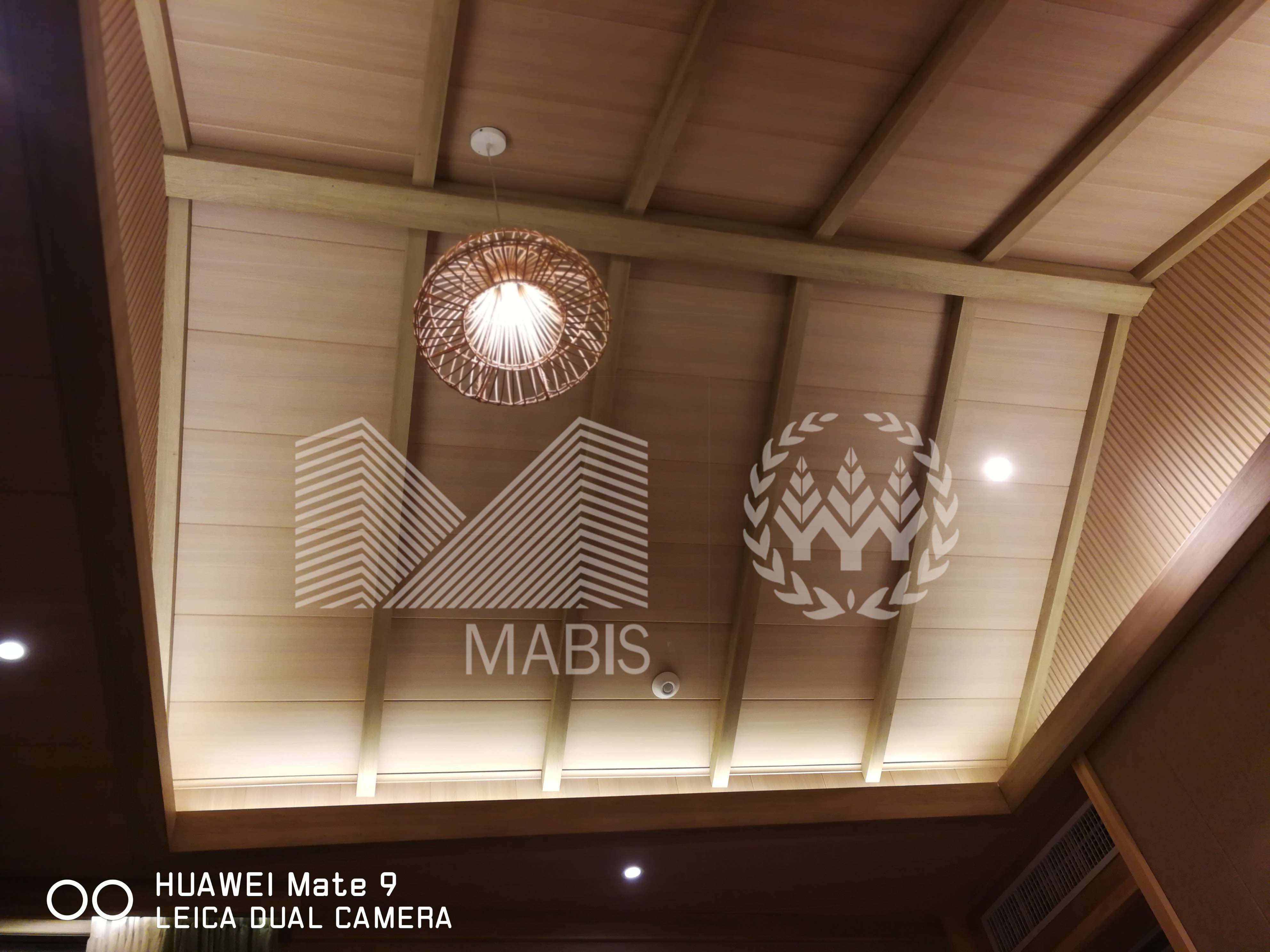 Eco Friendly Two Bedrooms Modular Prebuilt Houses Bungalow Luxury Tree House Maison