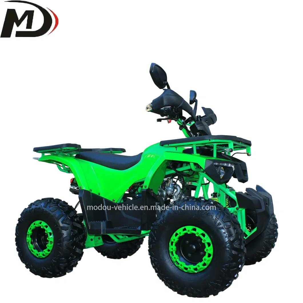 Detalle motor