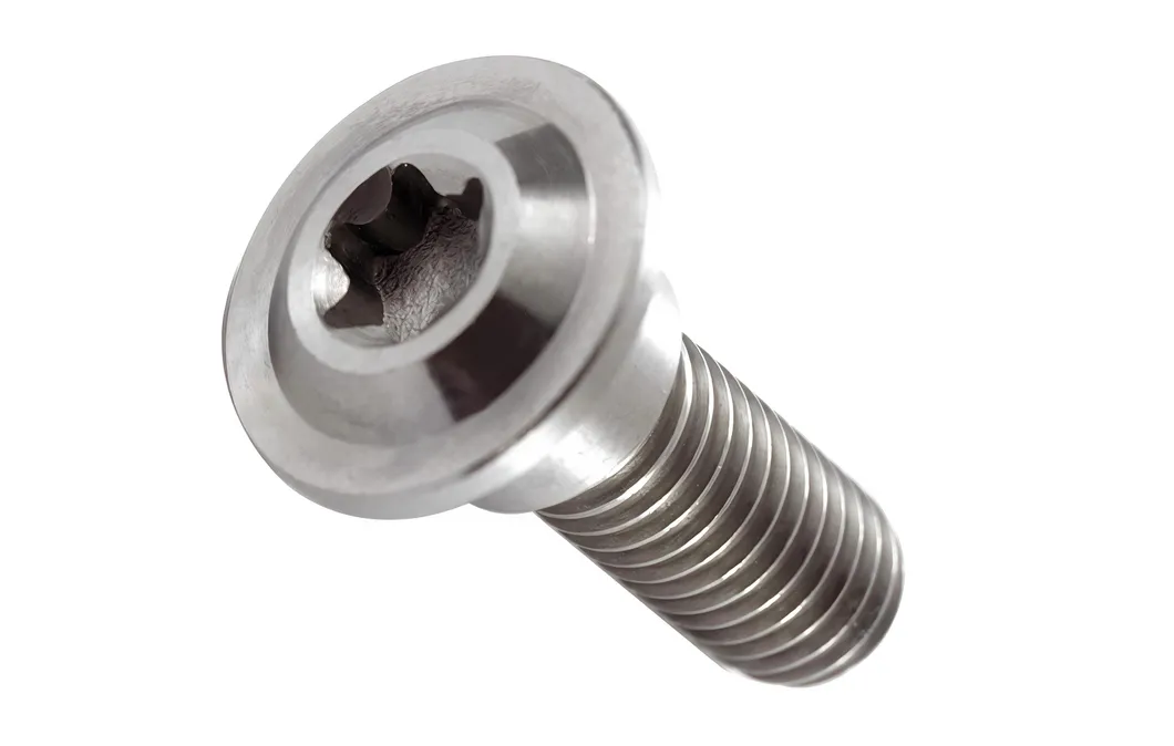 Tornillo de titanio 1