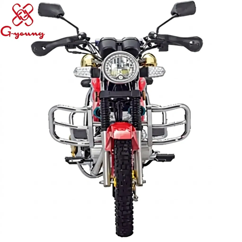 Motos personalizadas con marco de doble viga de aluminio y sistema ABS