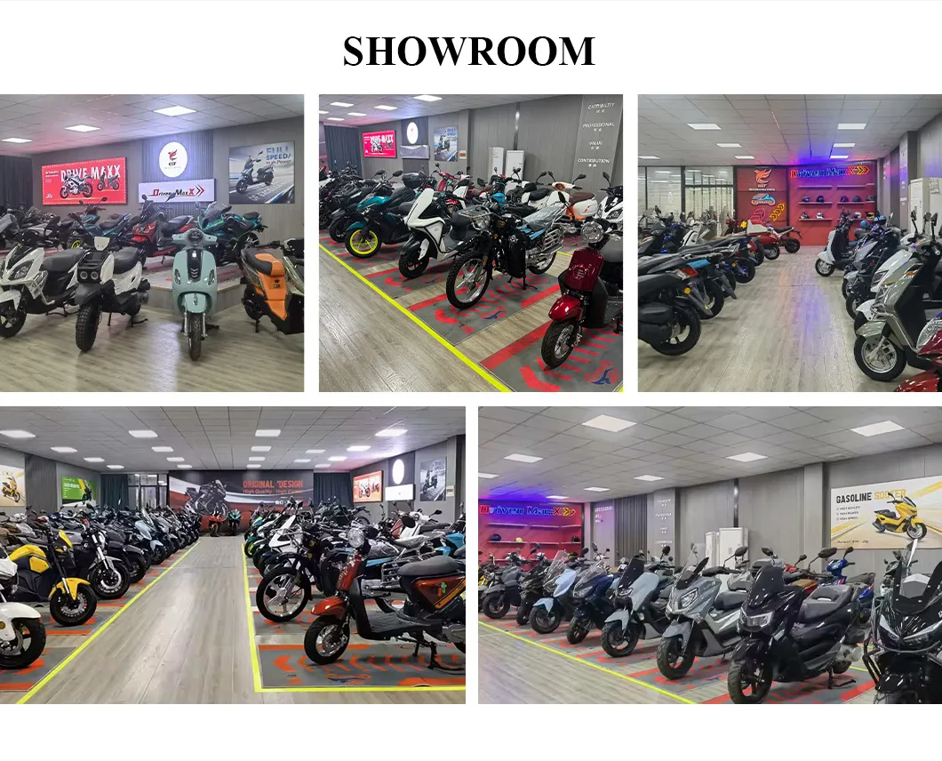 DX250 Motocicleta Side