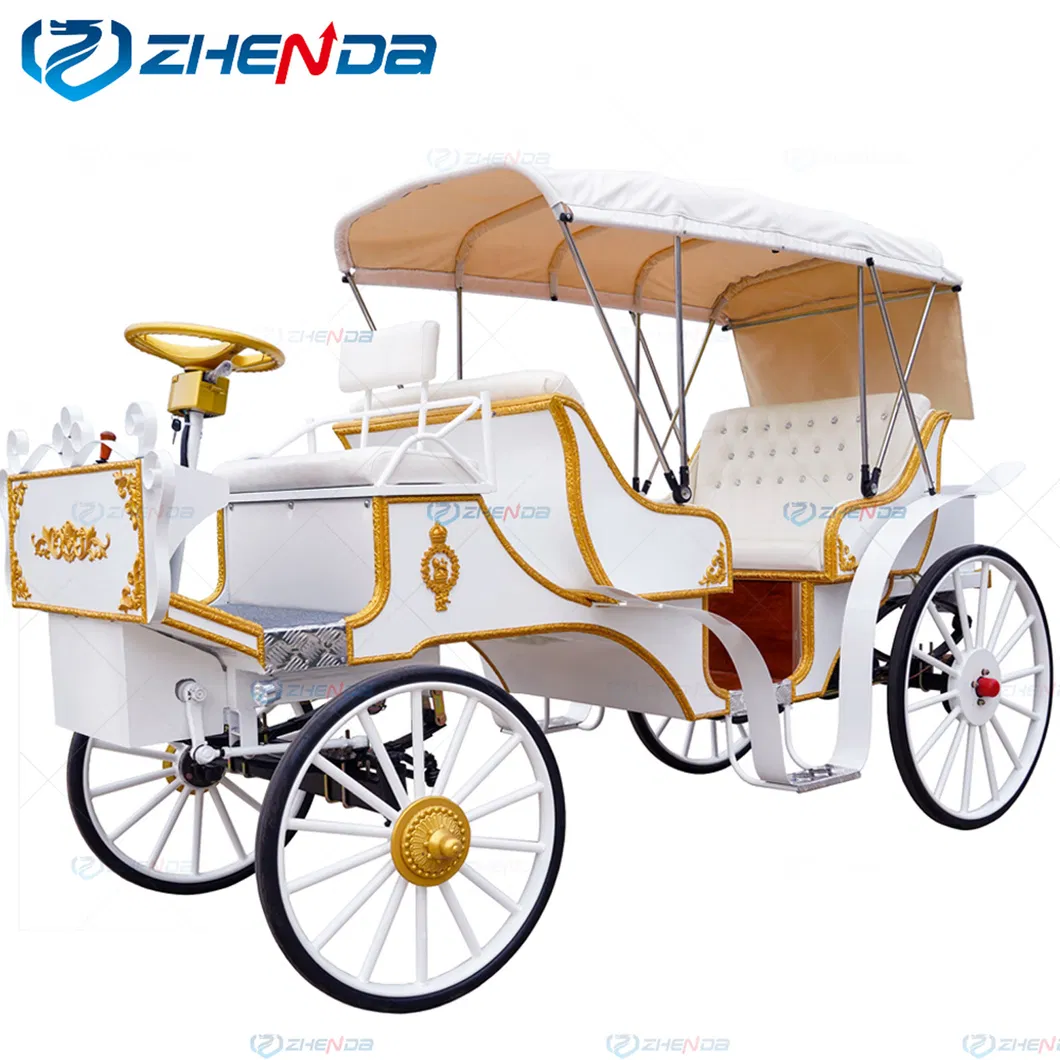 Carruaje de turismo elegante