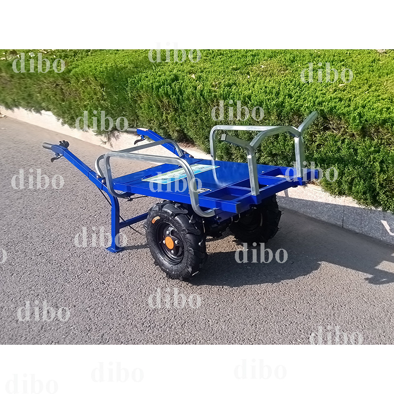 Carro de transferencia carro eléctrico carro de montaña construcción carro eléctrico de huerto