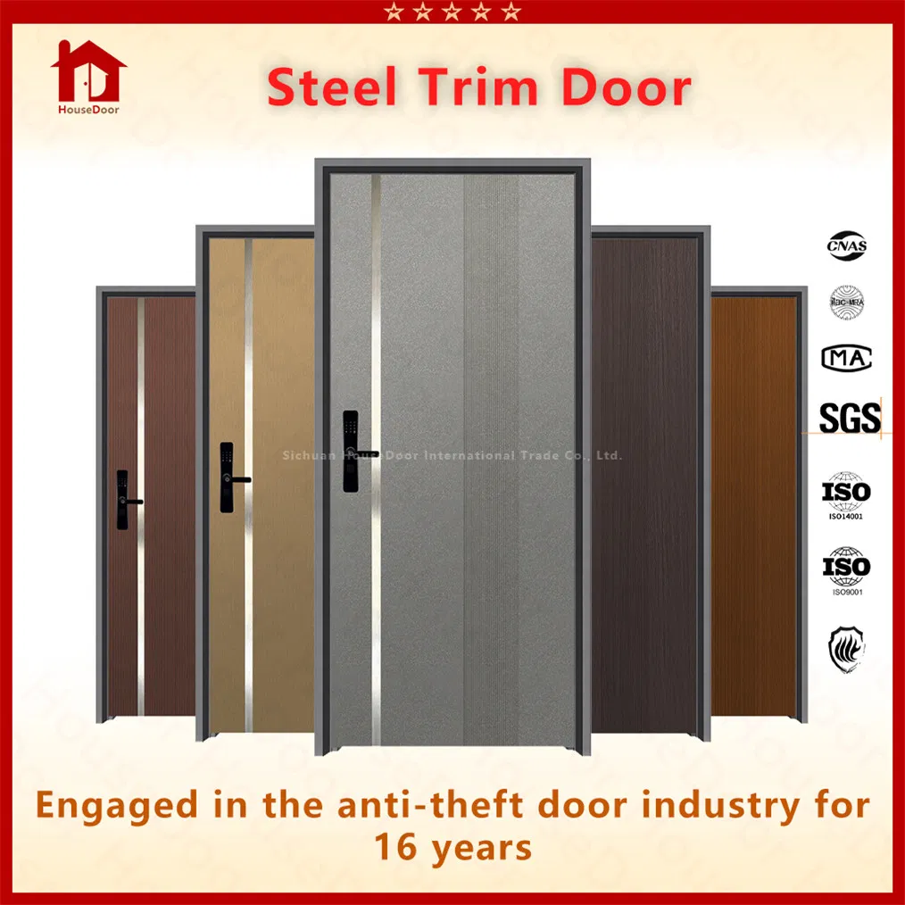 Ultra-Thin Frame Steel/Wood Door, Recessed Ss Strip, Hidden Dual Locks, Modern Flat Entry Door, Customized