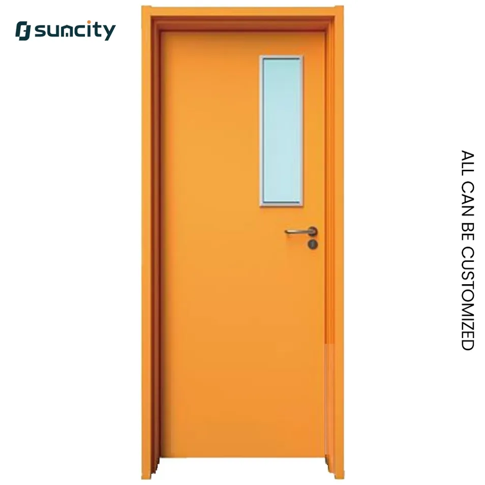 Premium Hospital Door