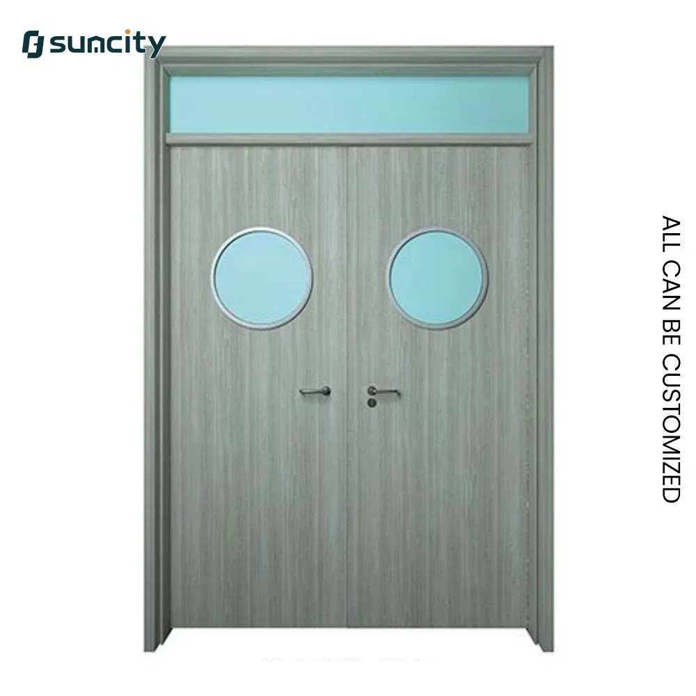 Industrial Grade Radiation Shielding Healthcare Laboratory Hospital Door for Clinical Labs