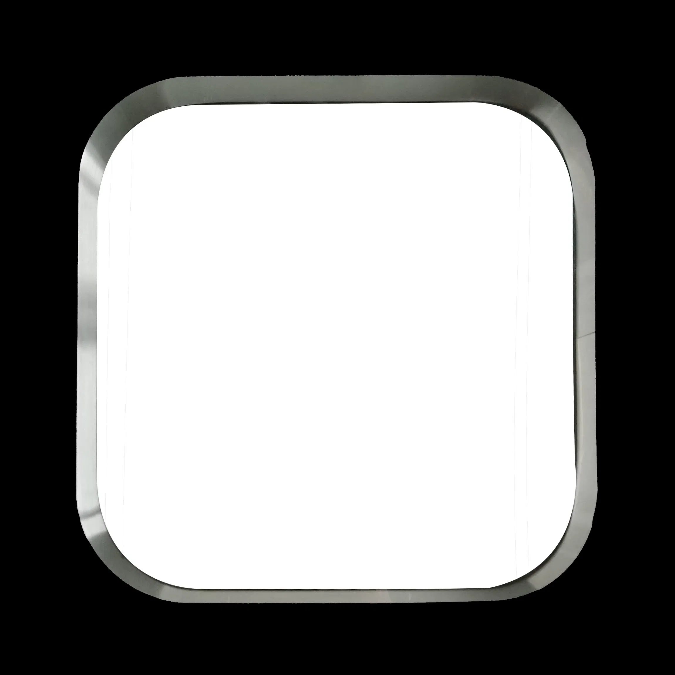 Double Egress Cleanroom Door for Safe Emergency Exit in Both Directions