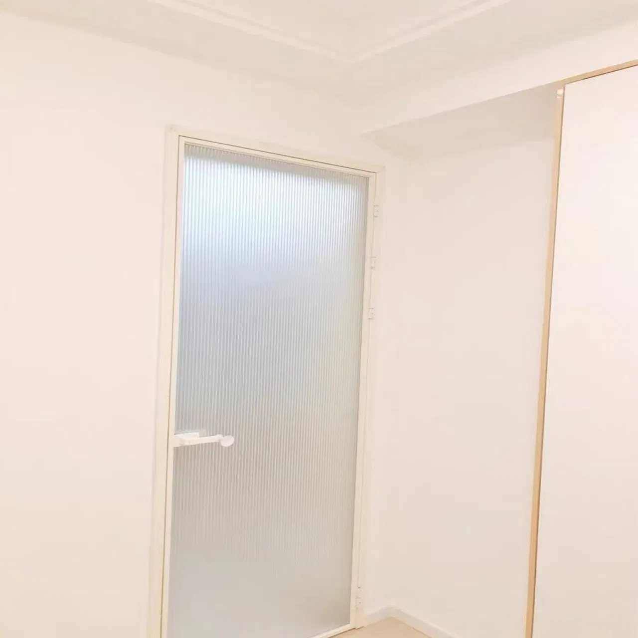 5. Exterior Conceal Hidden Aluminium Swing Interior Glass Security Door Modern, Noise-Reducing Swing Door with Aluminum/Aluminium Frame