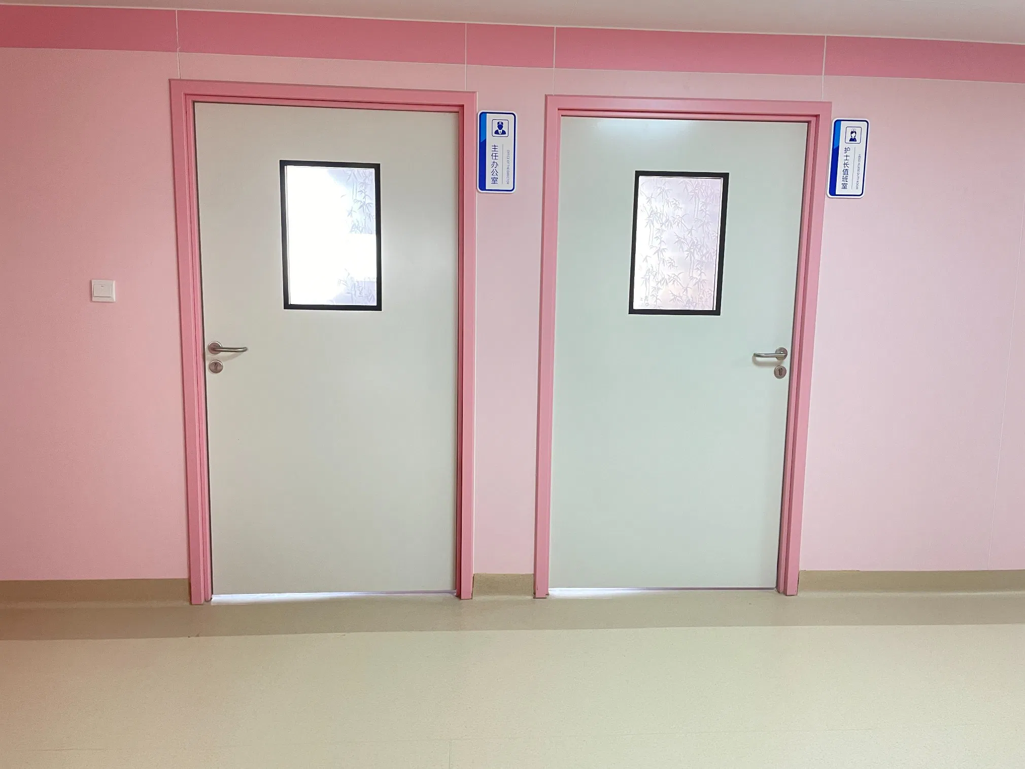 Chinese Top Brand Fire Rated Clean Room Door with Lock