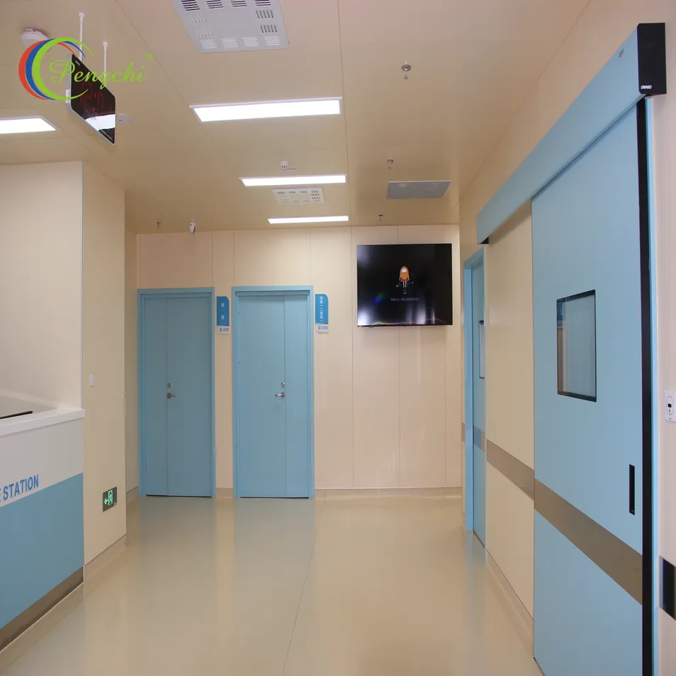 Medical Door Detail 1