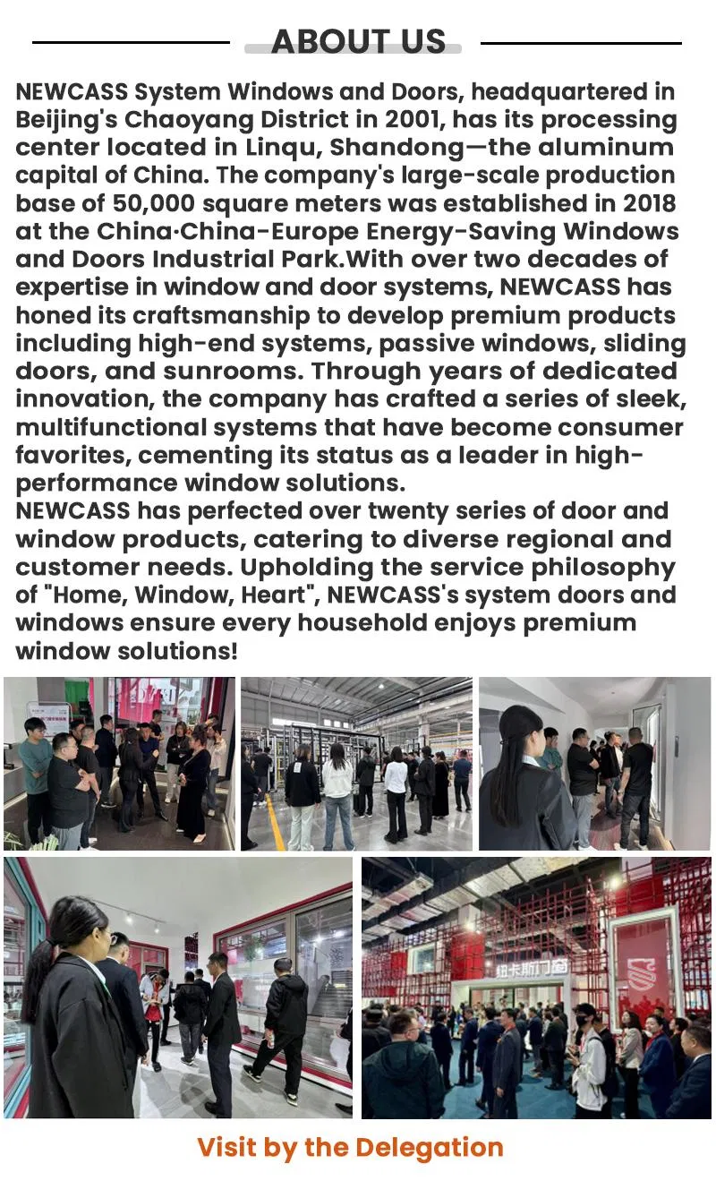 Aluminum Doors Detail 4