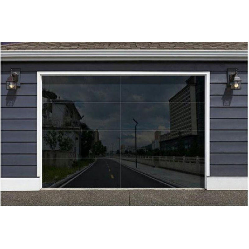 Fashionable Automatic Hidden-Frame Glass Garage Door