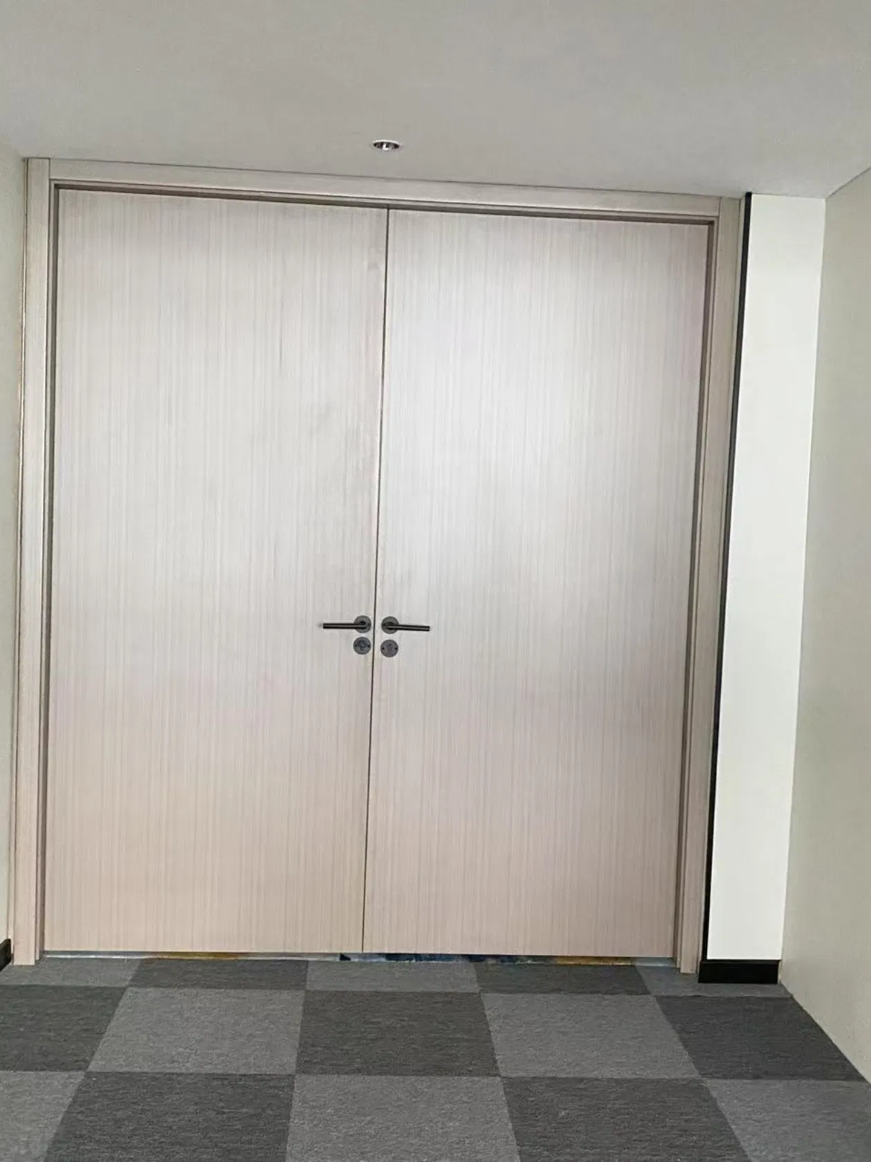Customized Color Modern Style Acoustic Fire Rated Interior Door
