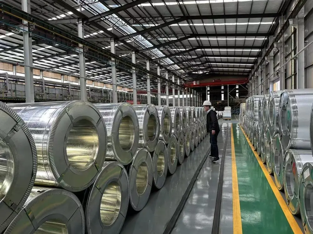 Best 12/5um Color-coated coils of complete specifications with good price are exported to Algeria Factories, Service