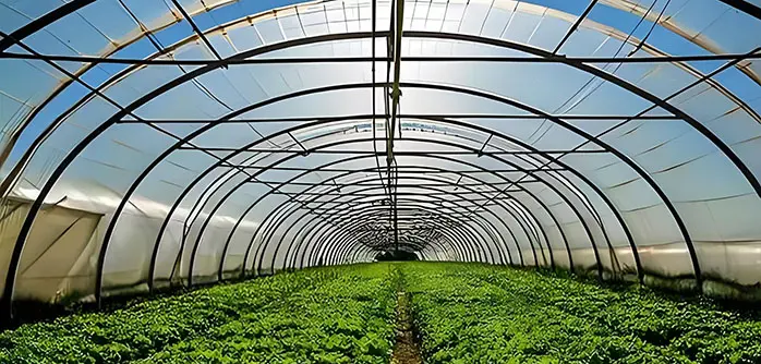 Uganda Greenhouse Steel