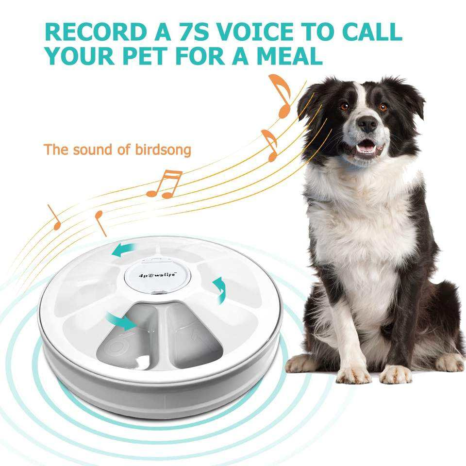 6 Meals Automatic Pet Feeder Electric Timer Dog Toy