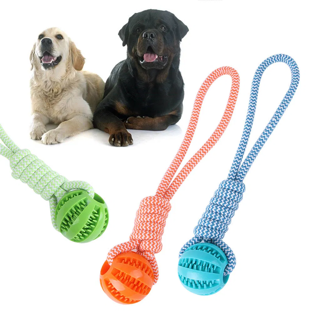 2025 Pet Chew Toy: Rubber Squeaky Ball with Rope Design Dog Toy