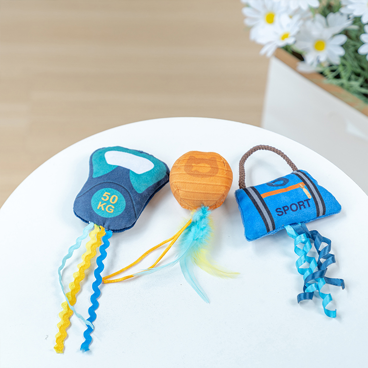 Rena Pet New Design Fashion Interactive Play Funny Shape Fitness Cat Teaser Toy with Catnip