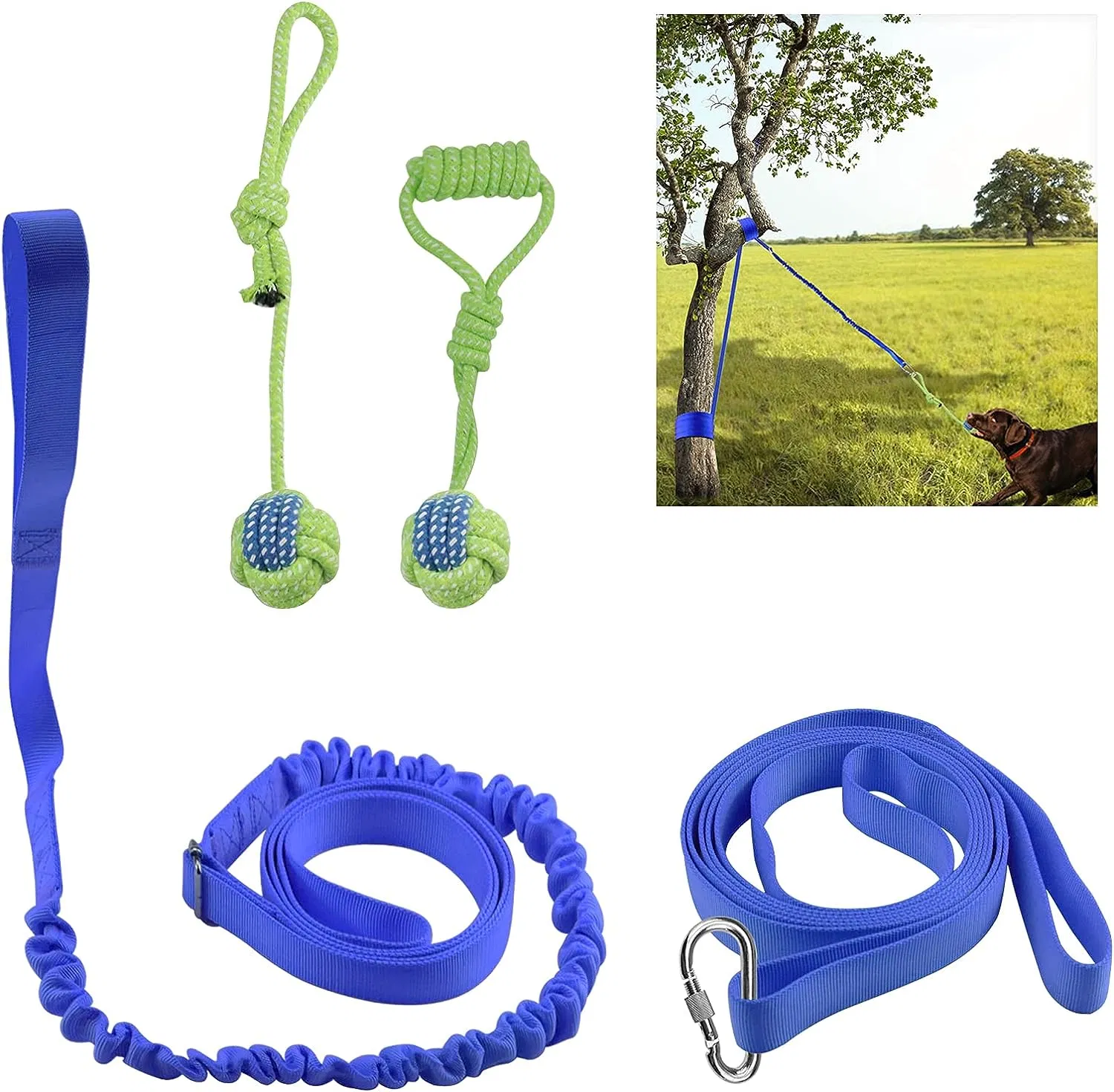 Best for Tug of War Bite Training Pull Exercise Solo Play Pet Toy