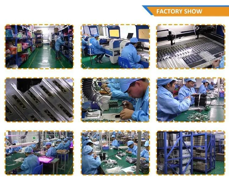 Squeaky Dog Chew Toy 8