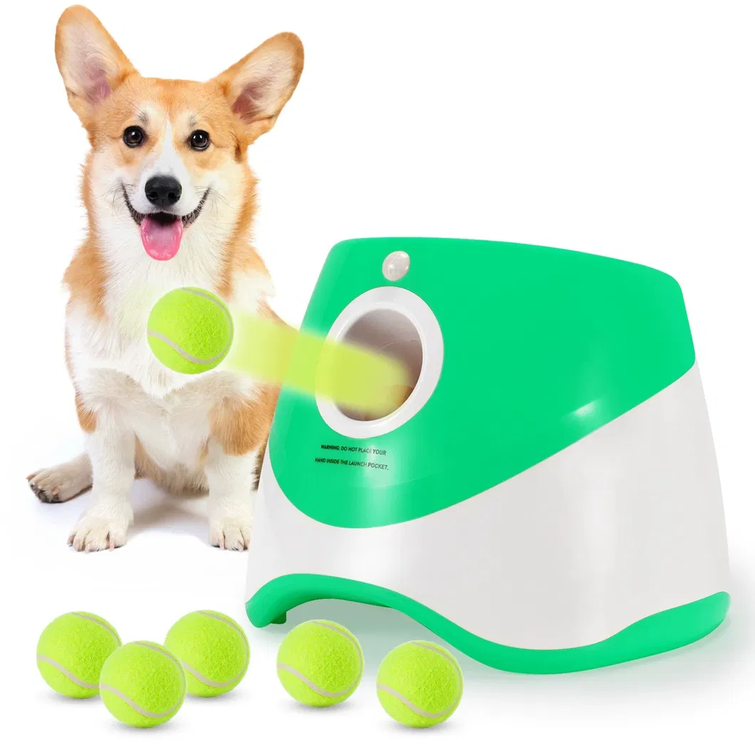 Dog Flying Toy 4