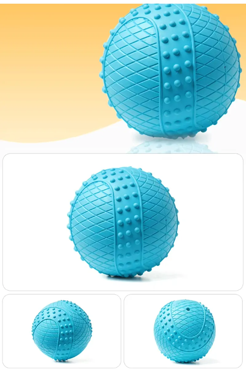 Interactive Training Toys