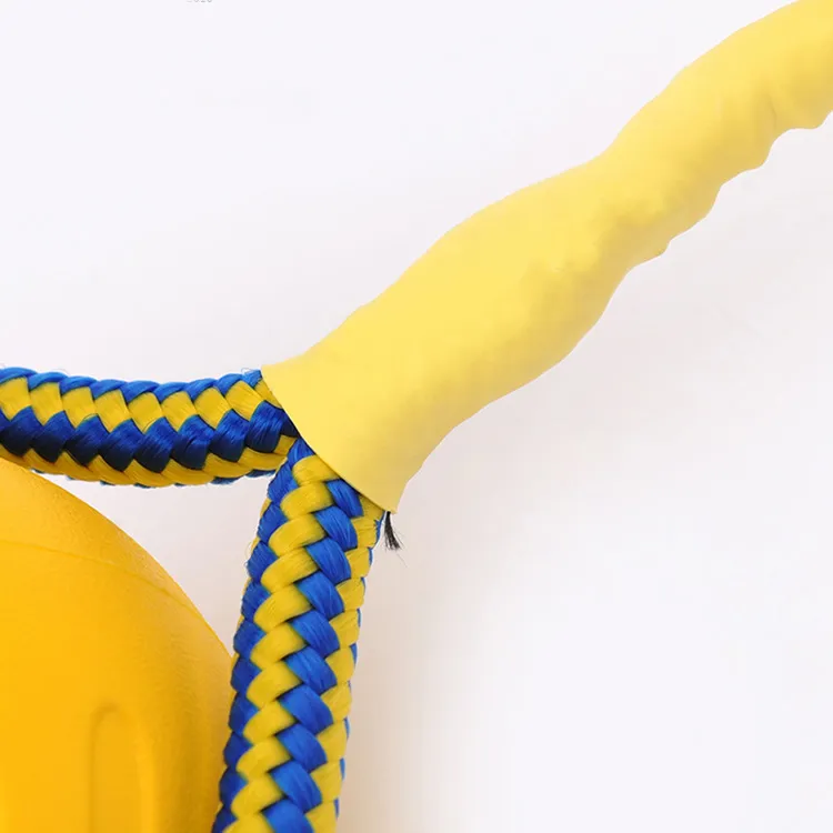 Training Pet Toys 4