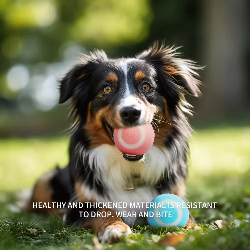 Interactive Cat Ball