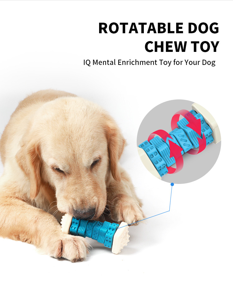 Rubber Chew Pet Toy for Dogs Supporting Dental Health and Chewing