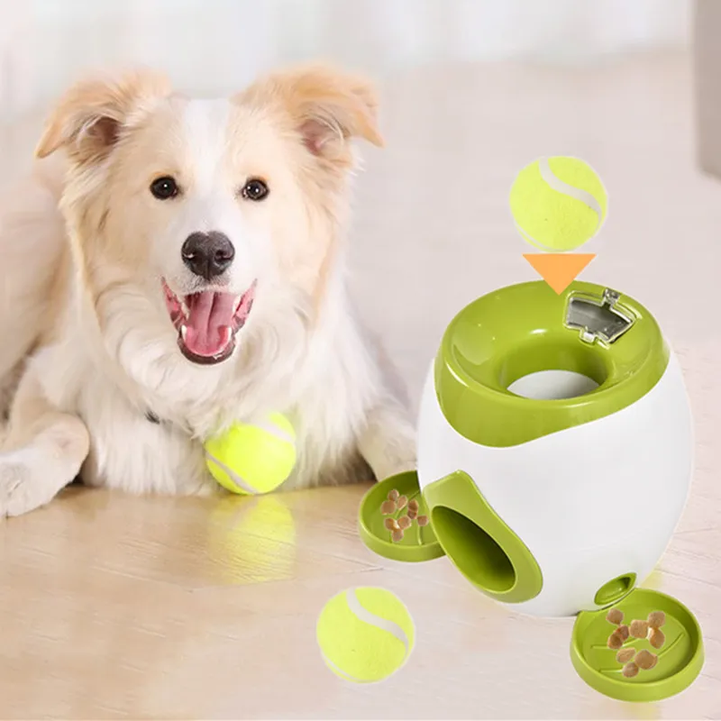 Interactive Pet Toy