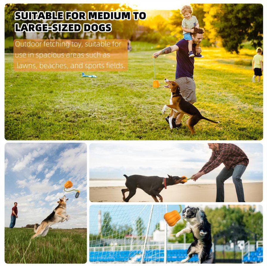 Pet Supplies Manufacturer Wholesale Company Best-Selling Amazon Outdoor Interactive Teething Hand-Thrown Ball Pumpkin Dog Toys