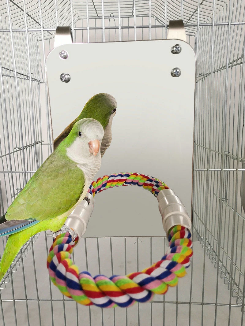 Pet Bird Large Mirror Rope Perch Cage Toy Wbb12582