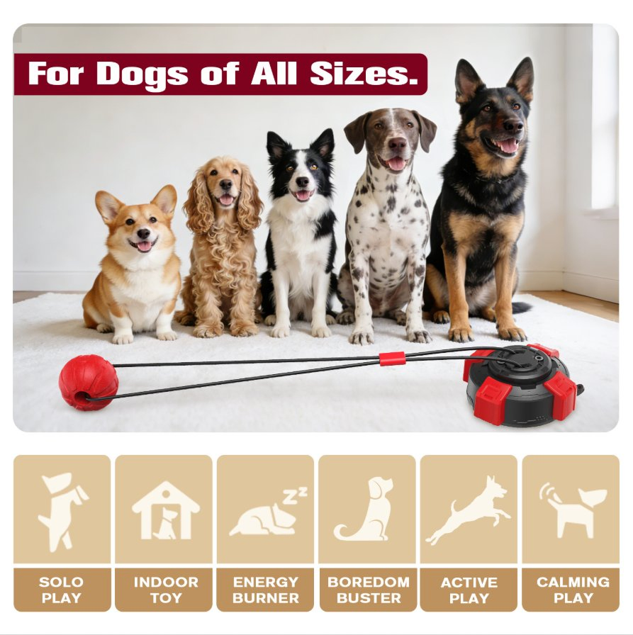 Pet Toy Manufacturer Wholesale Company's New Best-Selling Suction Cup, Drawstring, Tug-of-War, Teething Dog Toy