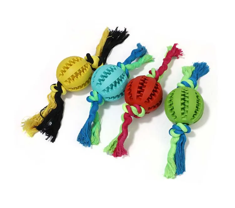 Pet Ball Toy 5