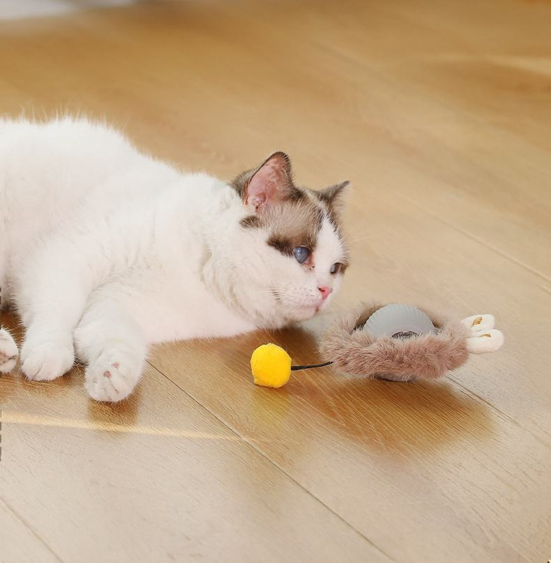 New Automatic Rolling Cat Toy for 360° Rotation Eliminate Pet Boredom Interactive