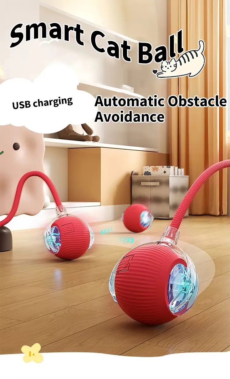 Cat Rolling Ball