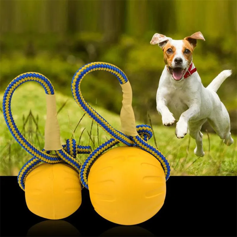 Dog Toy Ball 2