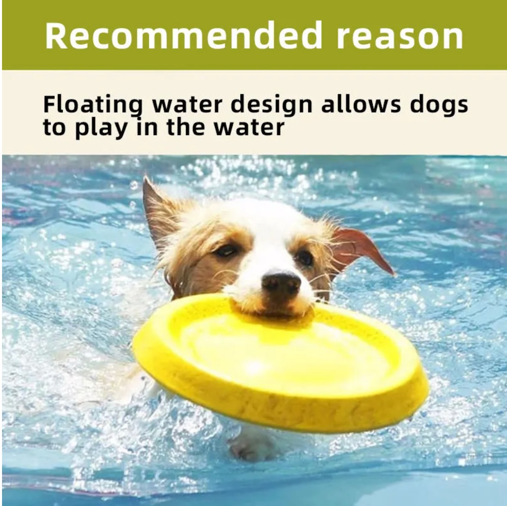Wholesale Dog Chew Toys Water Floating EVA Pet Toys Durable Bite Toy