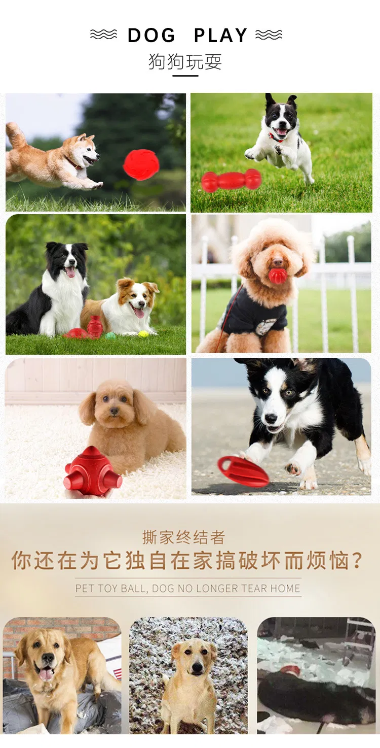 Pet Training Toy Detail