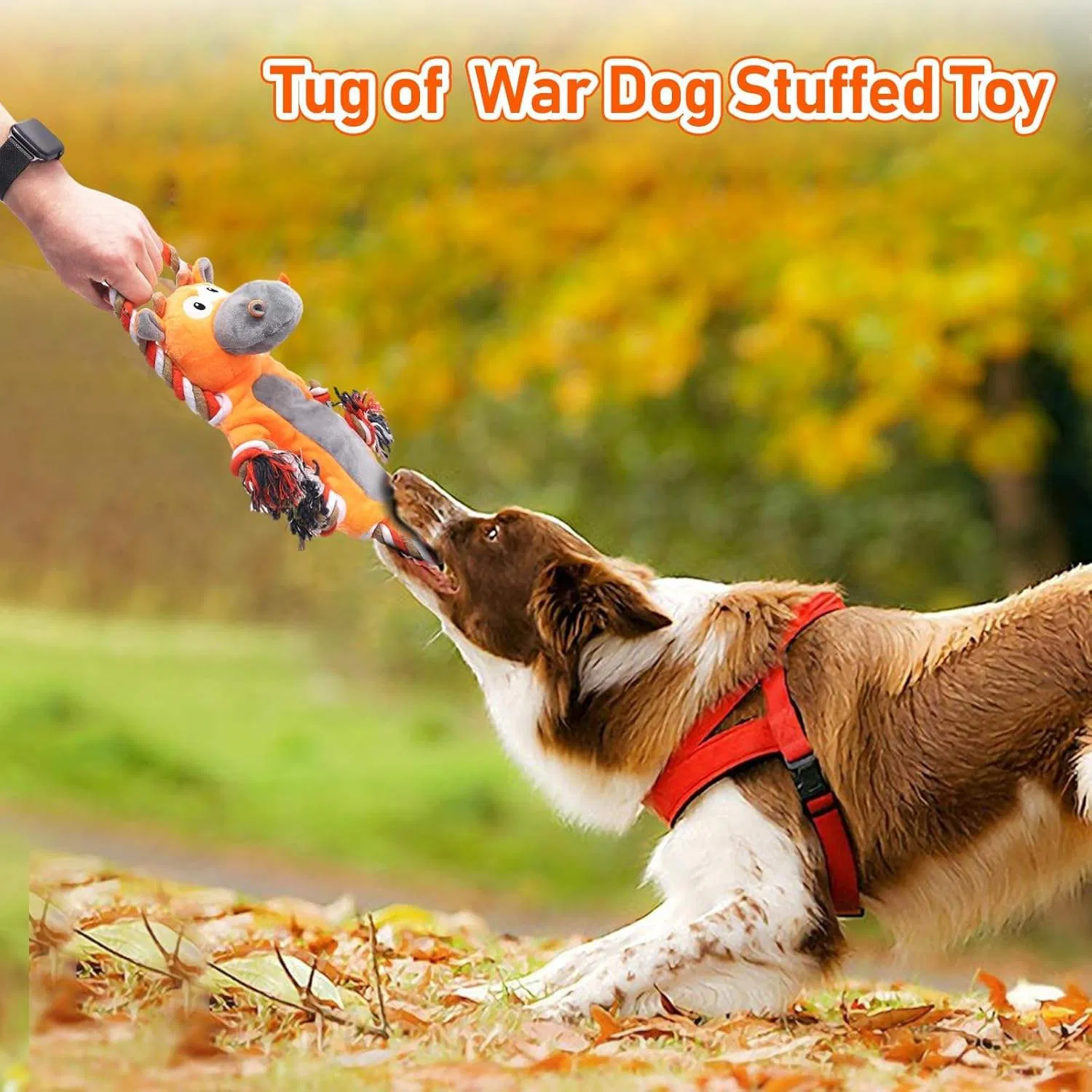 Pet Chew Tug Toy Cotton Rope Dog Interactive Toy