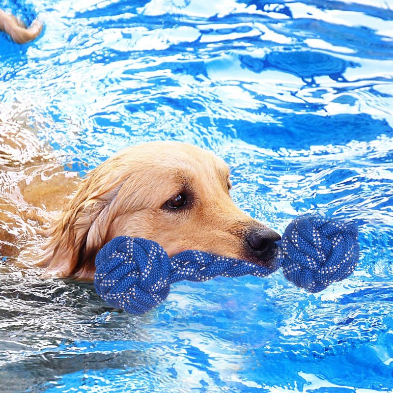 Rena Pet Floating Interactive Dental Cleaning Chew Strong Durable with TPR Cotton Rope Dog Toy