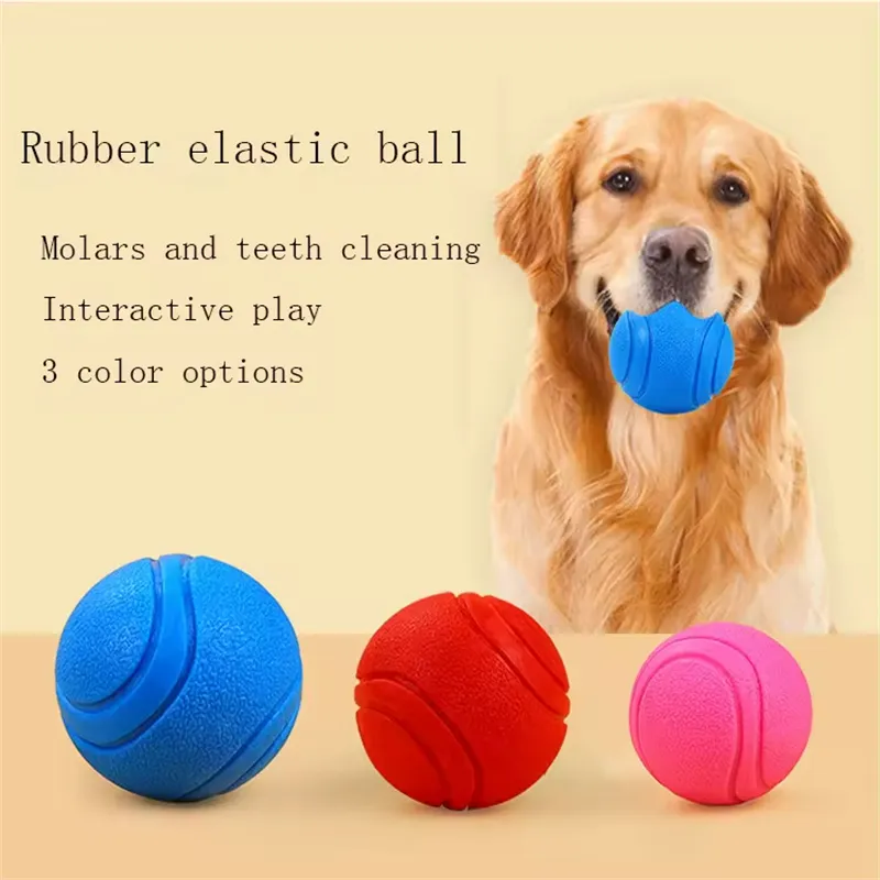 Durable Dog Toy