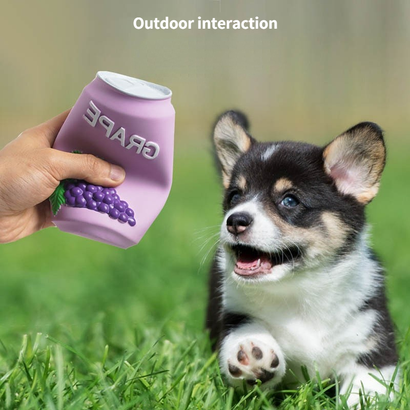 Popular Pet Training Toys Latex Vocal Dogs Can Relieve Boredom, Floating and Bite Resistant Toys