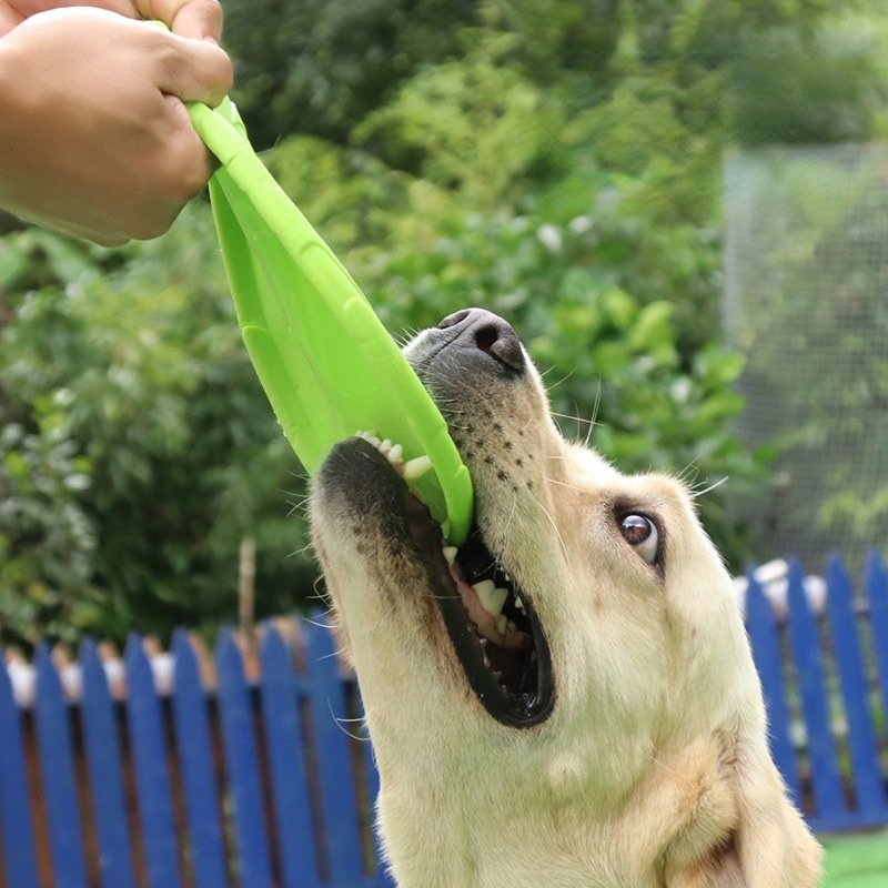 Dog Frisbee Interactive Pet Toy Floating Water Bite Resistant Recovery Training