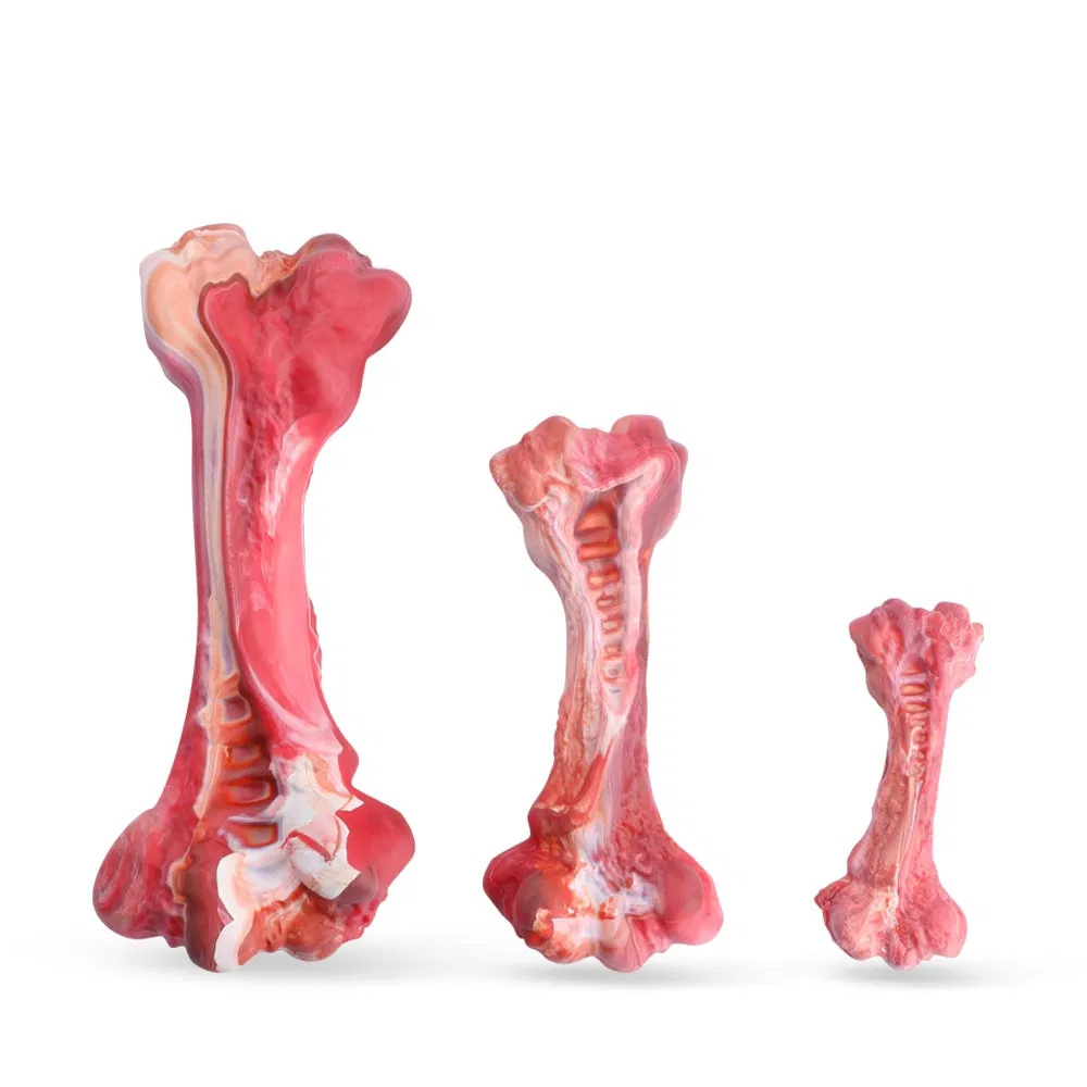 Pet Toy Pet Bone Chew Toy for Interactive Play and Teeth Health