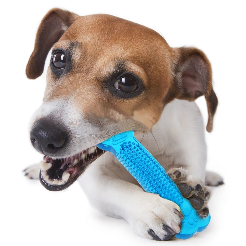 Dog Toys Pet Molar Tooth Cleaner Brushing Stick Trainging Dog Chew Toy Dogs Toothbrush Doggy Puppy Dental Care Dog Pet Puppies