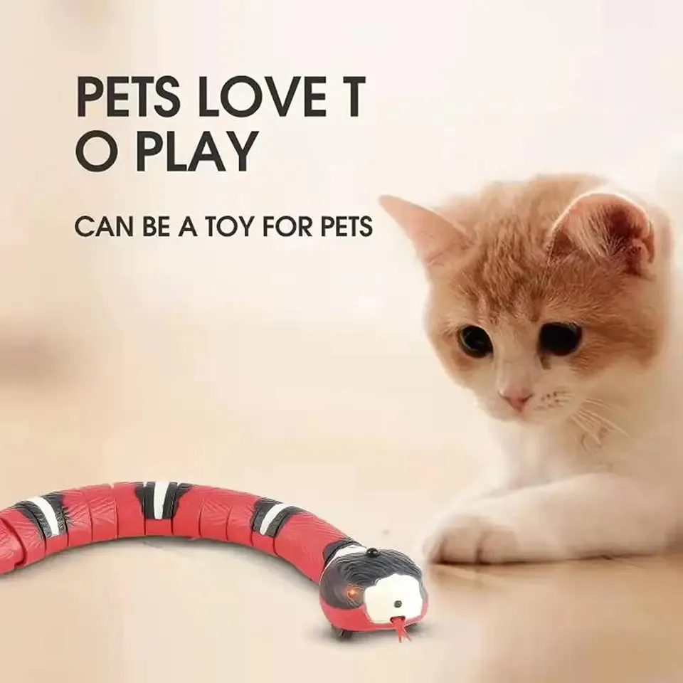 Automatic Pet Gadget