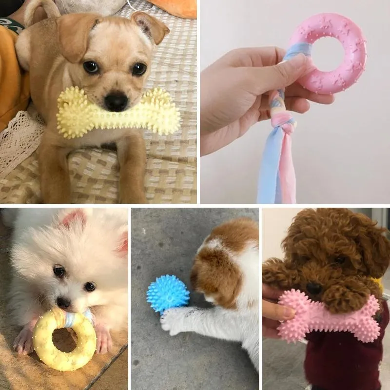 Dog Toy 10